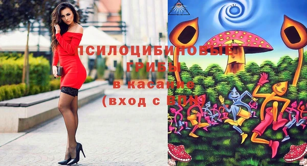 прущие крисы Елизово