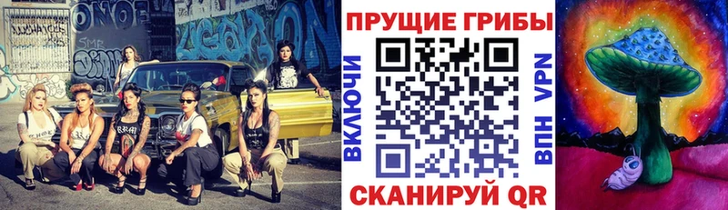 Галлюциногенные грибы Psilocybine cubensis  Ессентуки 